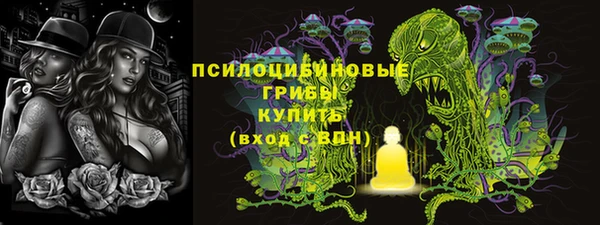 дмт Балахна