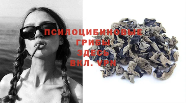 дмт Балахна