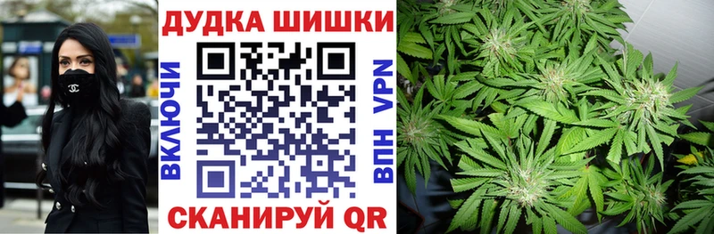 Конопля индика Тогучин